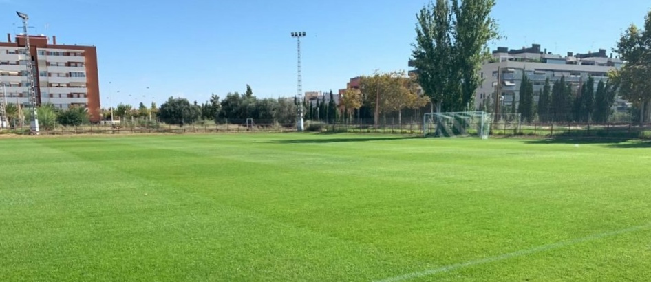 Estado del terreno de juego del polideportivo Altabix / Elche CF