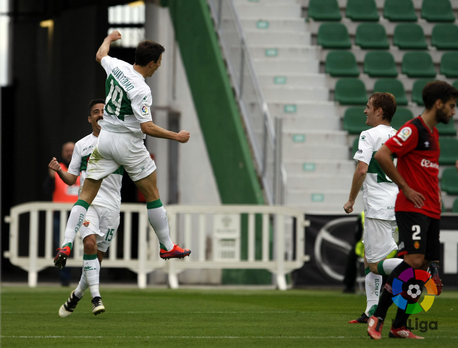 Guillermo celebra su gol al Mallorca / LFP