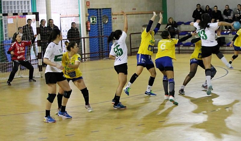 Partido entre Elche Mustang y Rocasa Gran Canaria