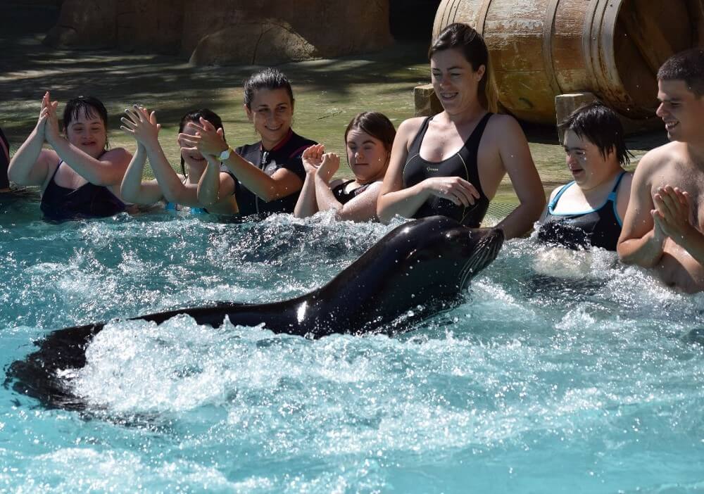 Terapia con leones marinos de Fundación Río Safari Elche