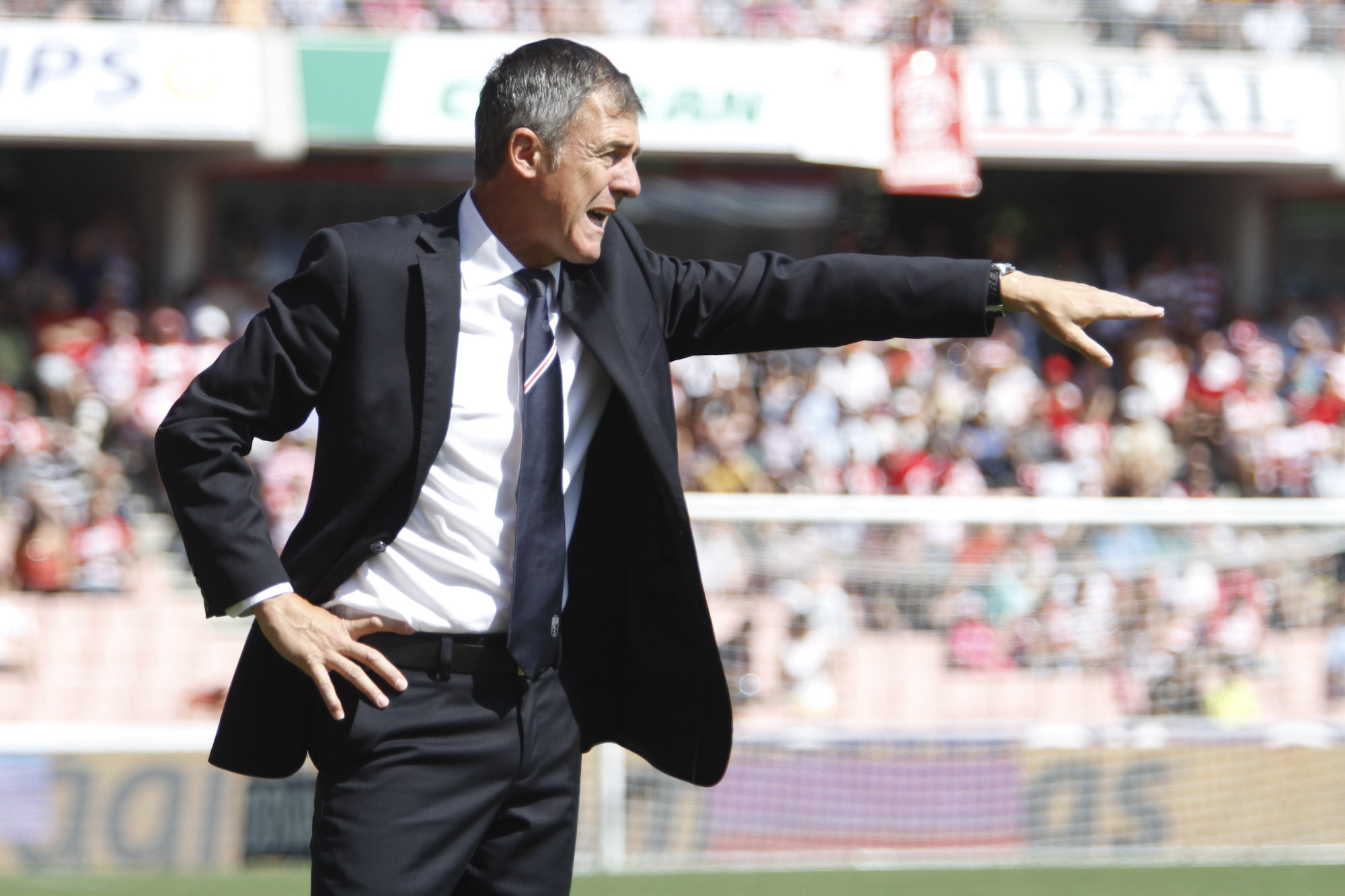 Lucas alcaraz equipos entrenados